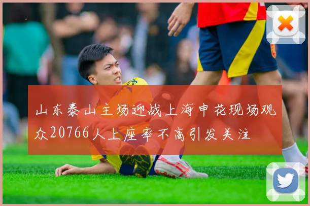 山东泰山主场迎战上海申花现场观众20766人上座率不高引发关注
